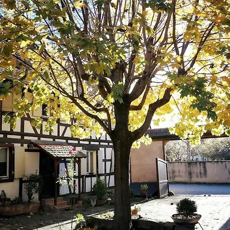 Maison Alsacienne Chez Mamema - Alsace - 15km Nord Strasbourg Casa vacanze Berstett