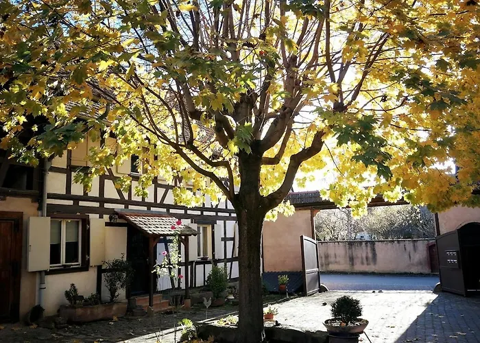 Maison Alsacienne Chez Mamema - Alsace - 15km Nord Strasbourg Hébergement de vacances Berstett