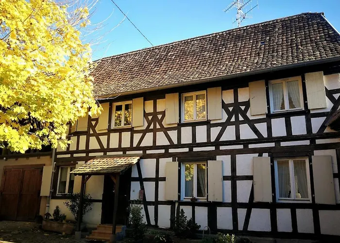 Maison Alsacienne Chez Mamema - Alsace - 15km Nord Strasbourg Berstett